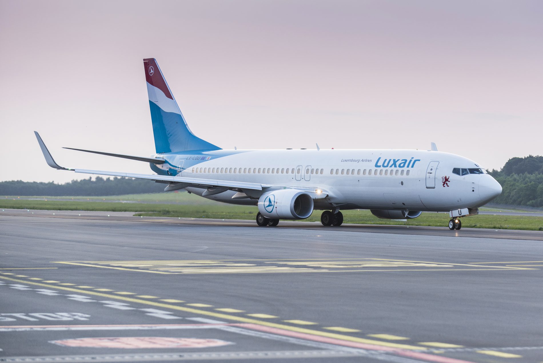 Boeing 737 800. Боинг 737800. Боинг 737-800. B737-800. Boeing 737‑800 (Winglets).